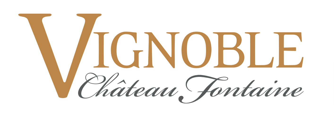 Vignoble chateau fontaine